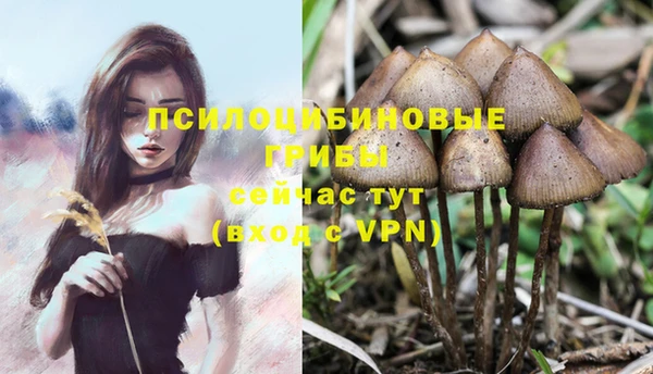 тгк Абинск