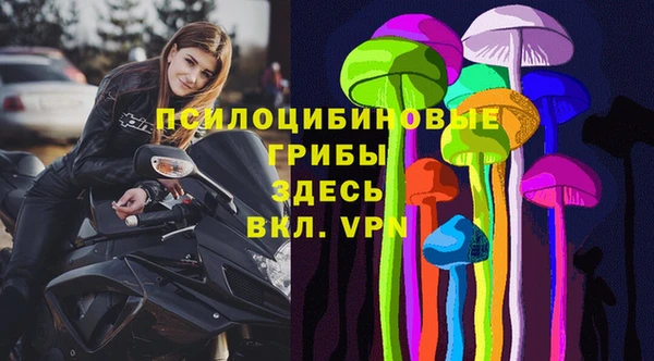 тгк Абинск