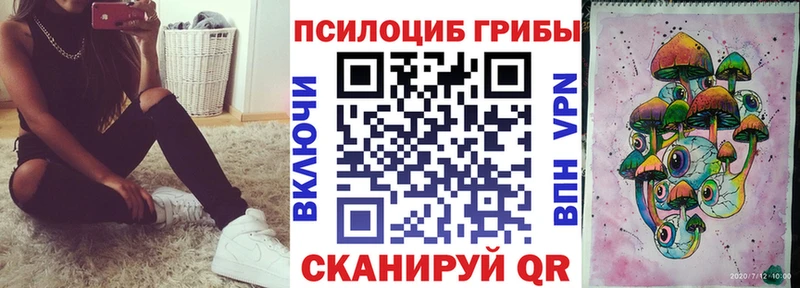 что такое наркотик Псков Псилоцибиновые грибы Cubensis