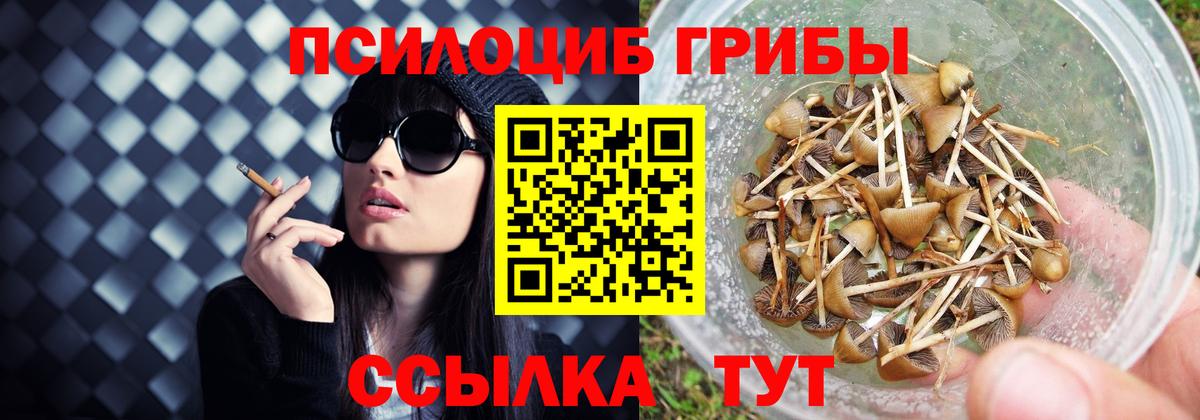 Галлюциногенные грибы Psilocybine cubensis  Вход с VPN  Галлюциногенные грибы ЛСД  Псков 